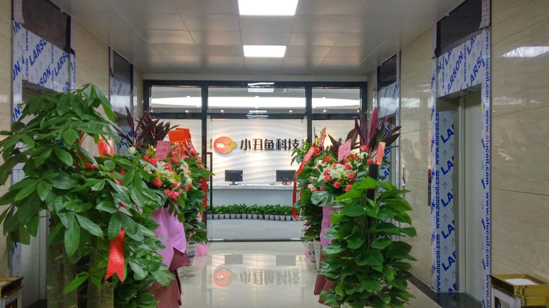 小丑鲜花